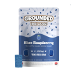 Grounded High Dose Bricks – Blue Raspberry Gummies (1000mg)