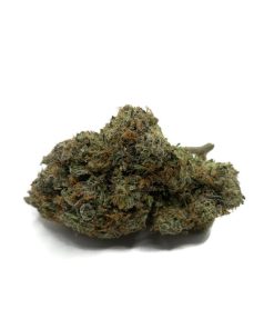 Tropicana Cherry (Sativa) (AAA)