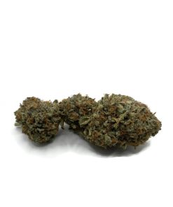 Green Crack (Sativa) (AAA)