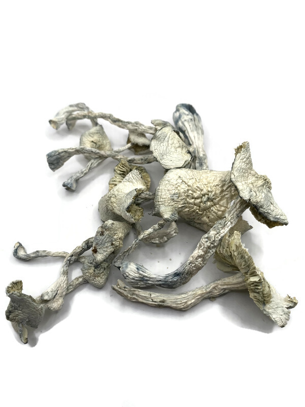 Jedi Mind Fuck - (Mushrooms)