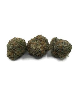 Gorilla Glue #5 (Indica) (AAA)