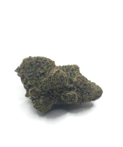 Purple Lambo (Indica) (AAA)