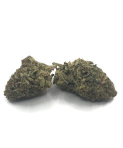 Gelato (Indica) (AAA)